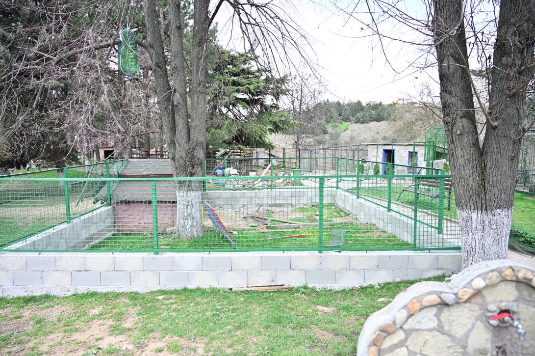 ЗОО паркот во Штип ќе има нови животински видови: бодликави и виетнамски прасиња, волк, коати, ему, лемури и лебеди